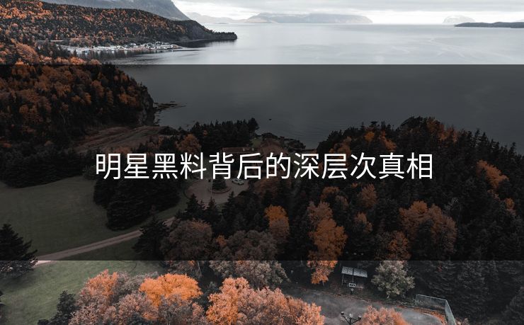 明星黑料背后的深层次真相
